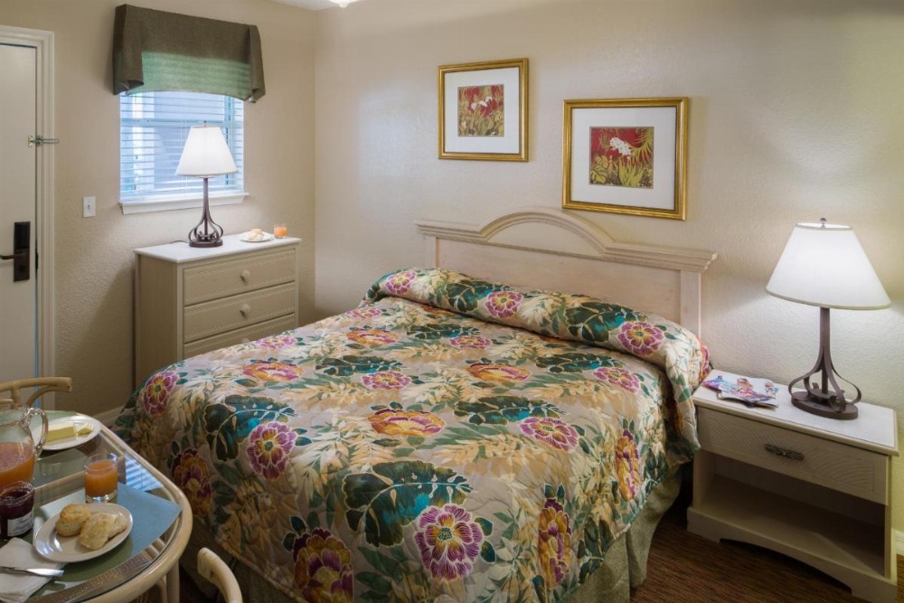 1 Queen Bed, 1 Bedroom Mobility/Hearing Access Apartment, Roll-In Shower, NSMK
